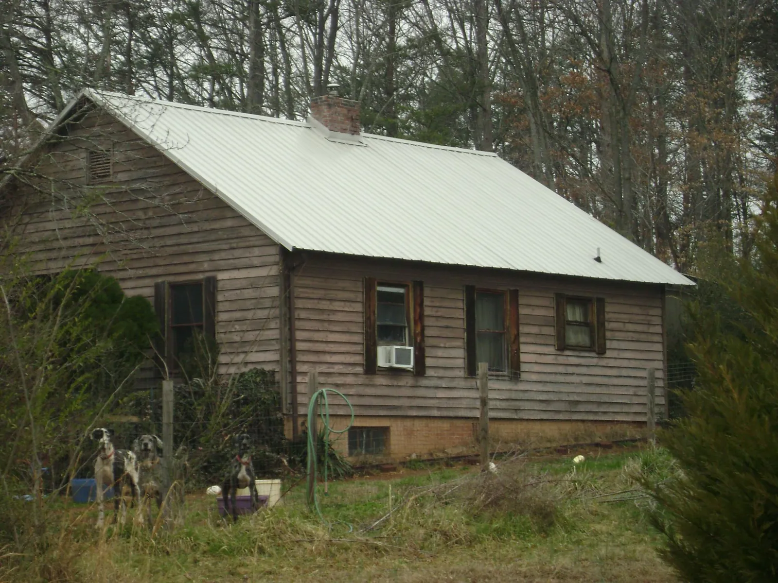 White metal roof on an old wood sided farmhouse, from a Metal Roof Installation job in French Gulch